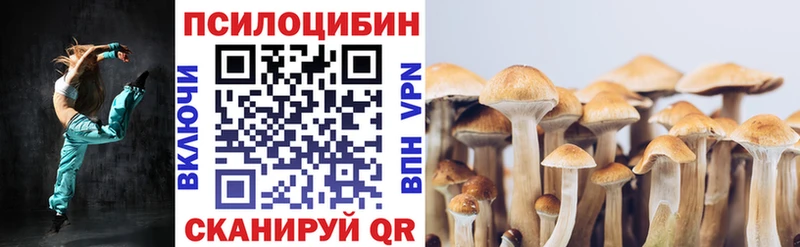 Галлюциногенные грибы Psilocybine cubensis Купить Петушки